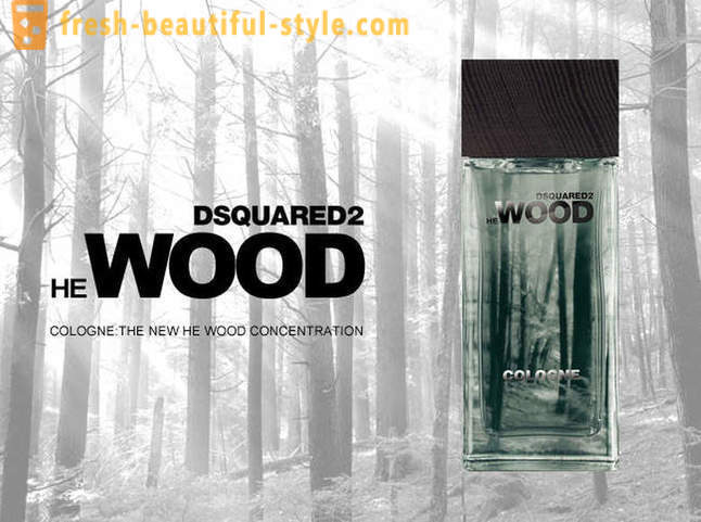 Dsquared Wood - opis Linia zapachów i marki