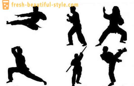 Japońskie rodzaje sztuk walki: opis, charakterystyka i ciekawostki