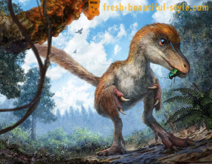 Unikalne odkrycia związane z dinozaurami