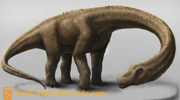 Unikalne odkrycia związane z dinozaurami