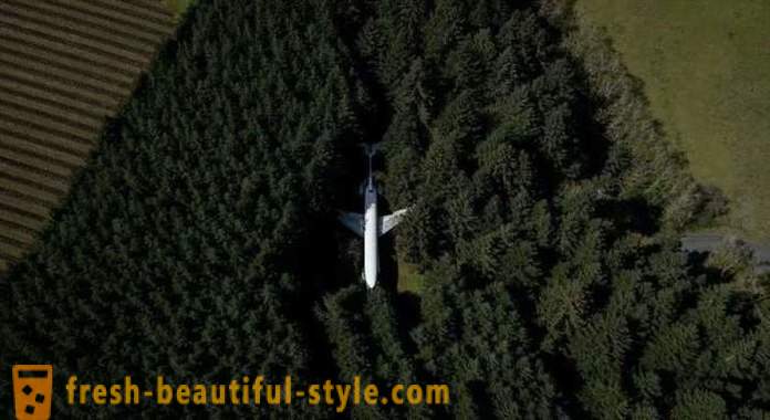 Amerykańska, 15 lat życia w samolocie w środku lasu