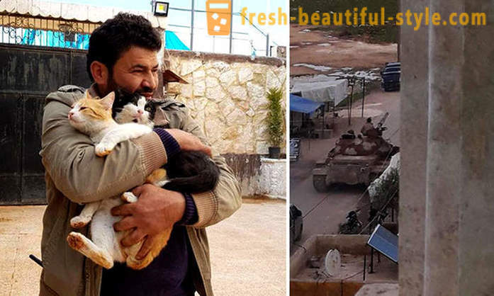 Mężczyzna pozostał w rozdartej wojną Aleppo dbać o porzuconych zwierząt