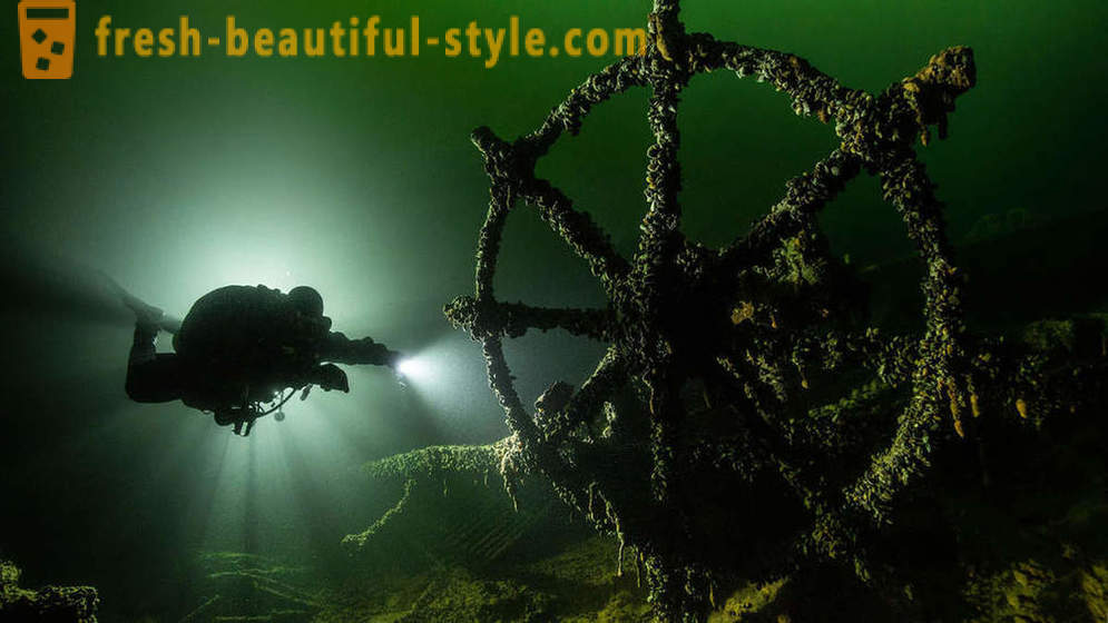 Incredible Filmów fotografii podwodnej zwycięzców konkursu