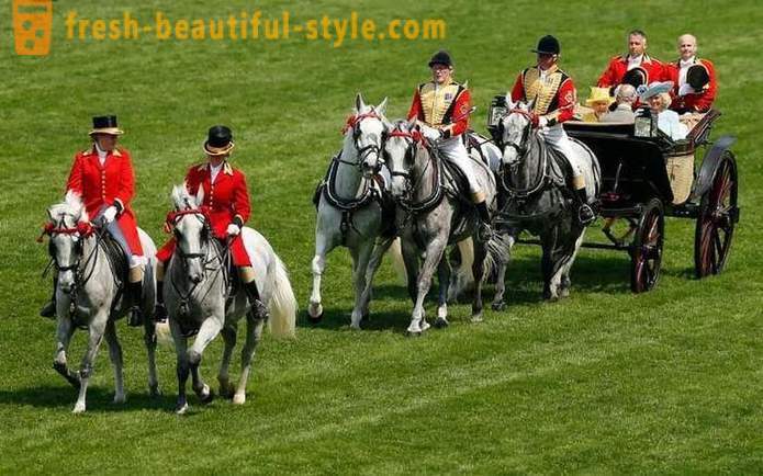 Brytyjski high society do wyścigów konnych w Ascot