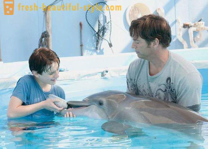 Wybór filmów o delfinami