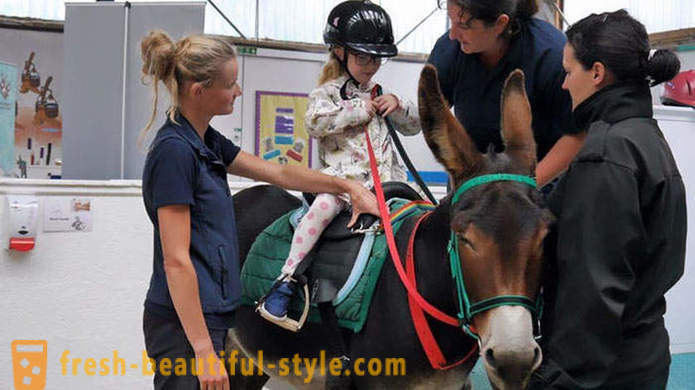 Leczenie zwierząt: dziewczynka niemy zaczął mówić przez osła