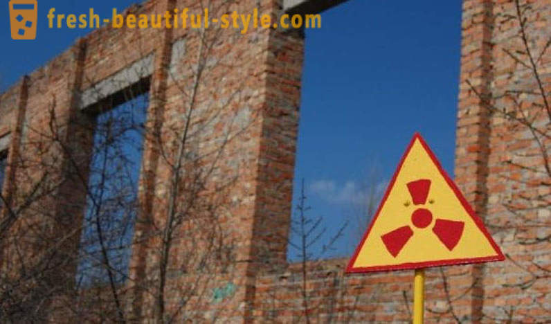 Koszyk jądrowa: co rośnie w Czarnobylu