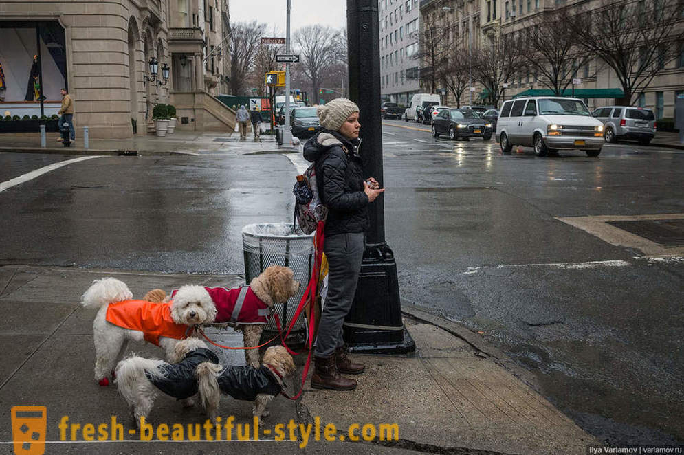 New York: Dziwna moda, zły stan dróg i hotel z przyszłości