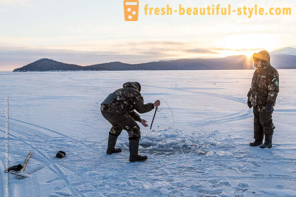 Jak rybinspektory na Bajkał