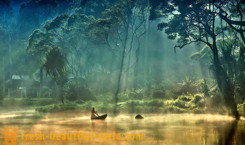 Amazon - naturalny cud świata