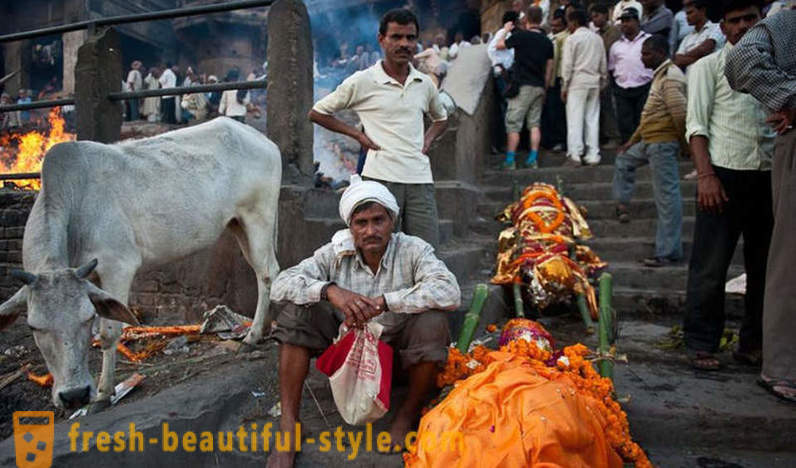 Nietykalni: The Story of najniższej kasty w Indiach
