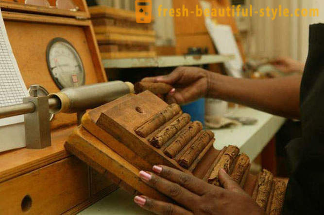 Proces tworzenia najlepszych kubańskich cygar