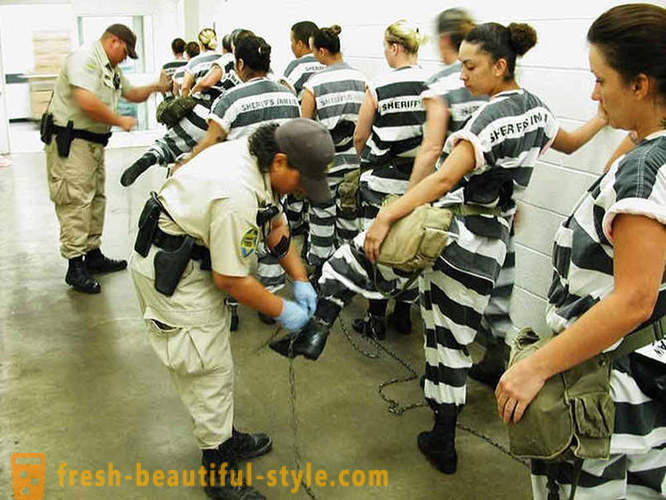 Dni tygodnia więźniarki w więzieniu w USA