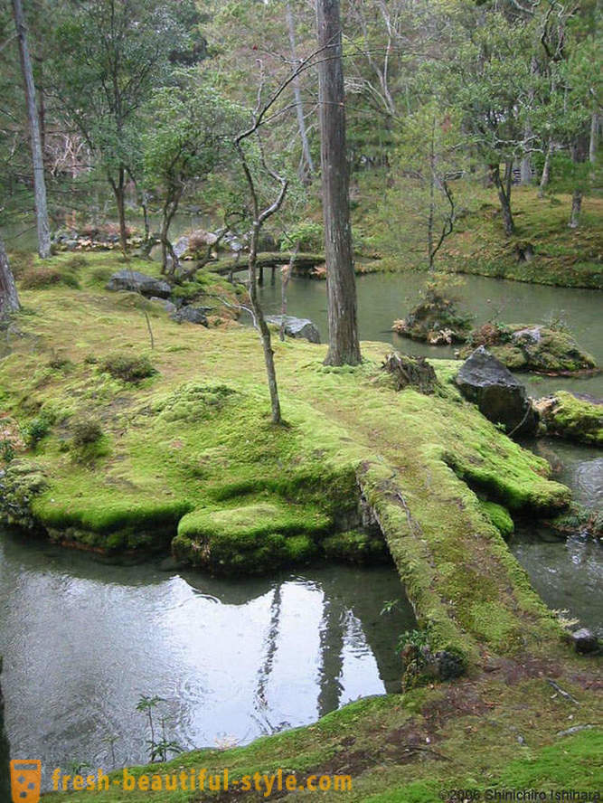 Moss ogród w Japonii