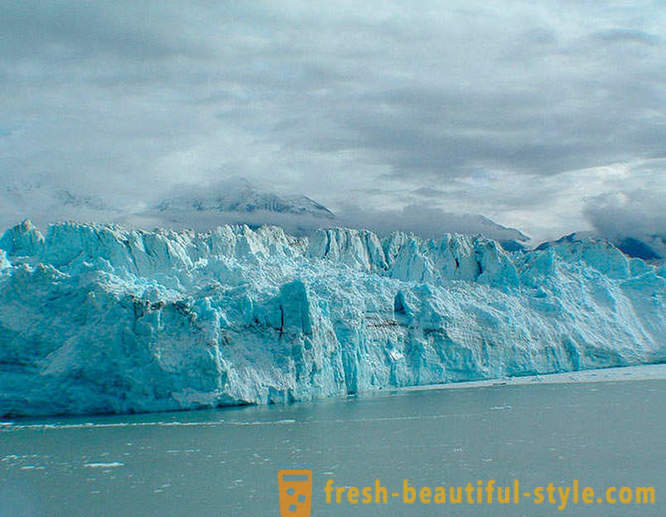 Park Narodowy Glacier Bay na Alasce