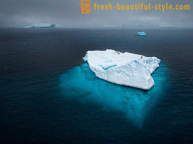 Najlepsze zdjęcia z National Geographic 2012