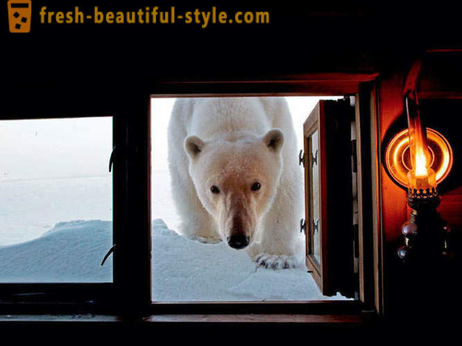 Najlepsze zdjęcia z National Geographic 2012