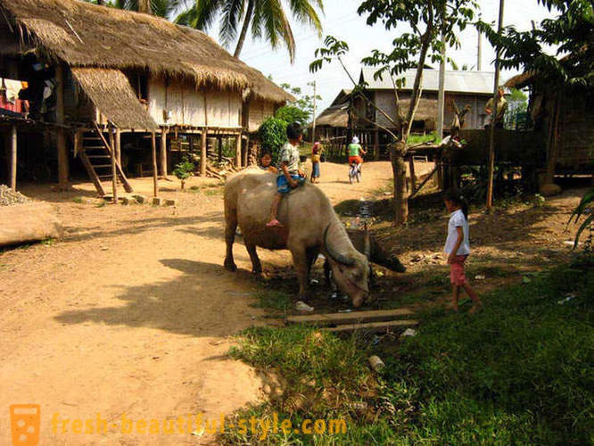 GeoFresher - Jak żyć w Laosie