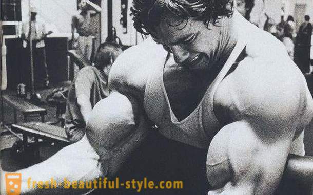 Biceps trening. Program szkolenia na biceps