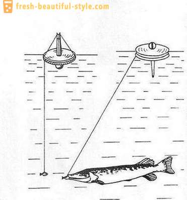 Połowu szczupaków krąg: Cechy metody. Pike połowów na kołach na rzece, nad jeziorem