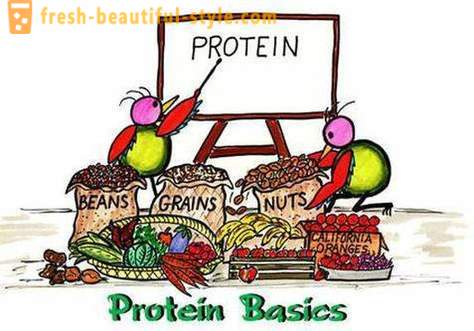 Jakie są białka? Kto i jak przyjmować białko
