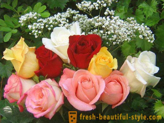 Bukiet pięknych róż w prezencie