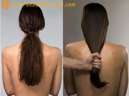 Olej arganowy włosów: opinie. Zastosowanie Olej arganowy pielęgnacji włosów