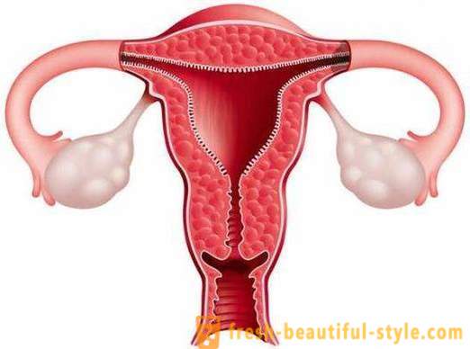 Jak zwiększyć endometrium